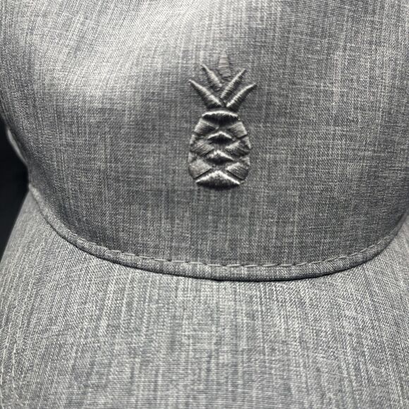 Chubbies Performance Snapback Hat Cap Gray Pineapple Adjustable Men Preppy - Picture 2 of 6